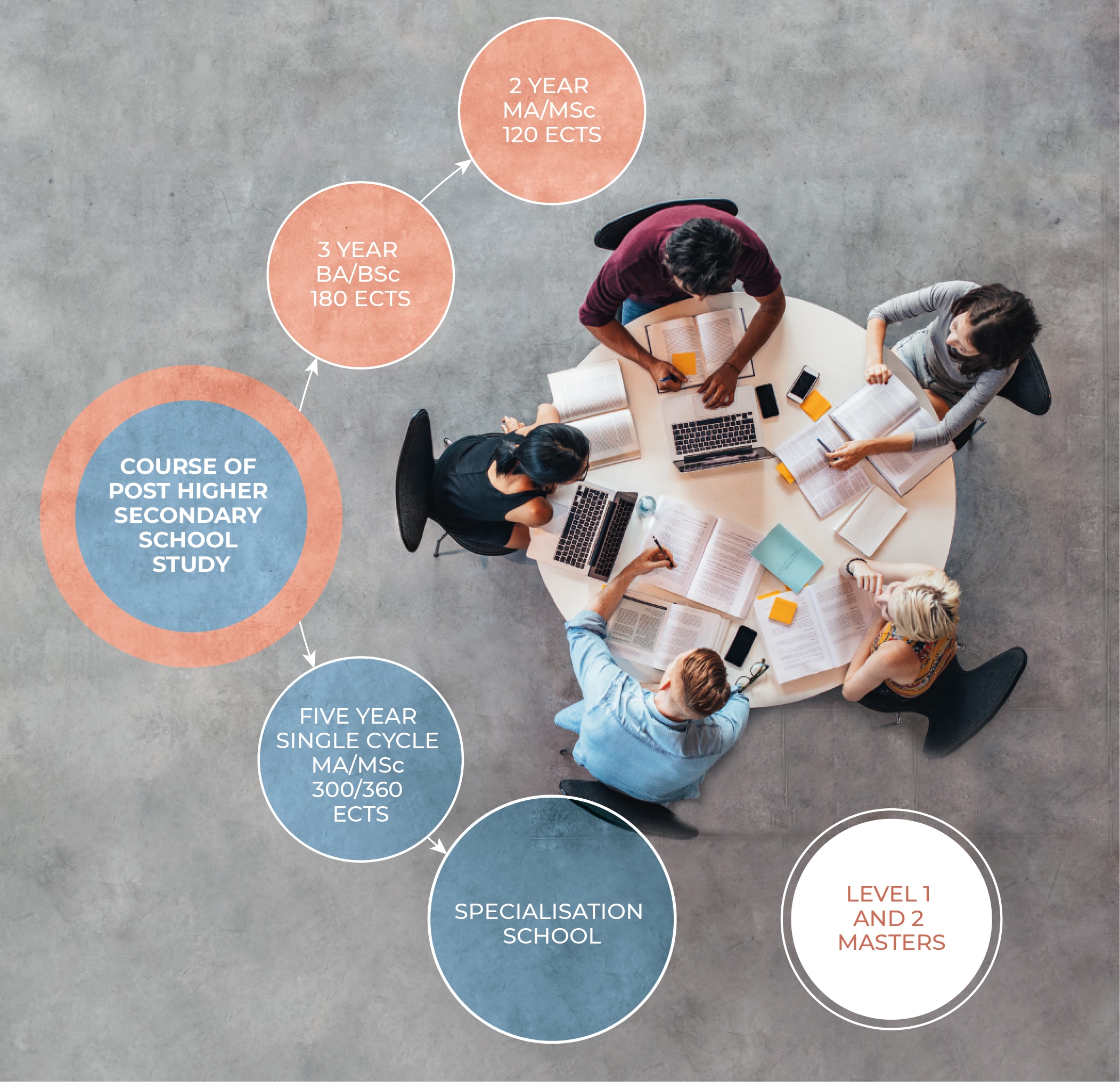 Sistema universitario - eng_Tavola disegno 1 Infografica sistema universitario